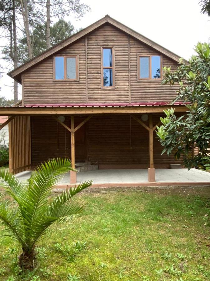 Green Cottage Shekvetili Ureki Ngoại thất bức ảnh