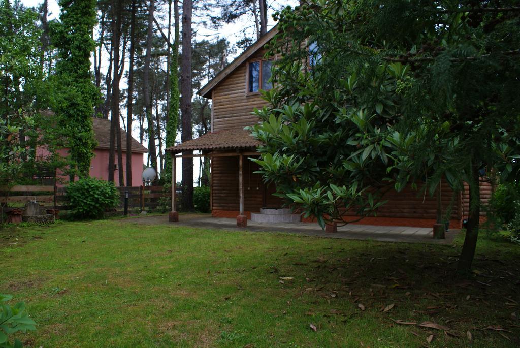 Green Cottage Shekvetili Ureki Ngoại thất bức ảnh