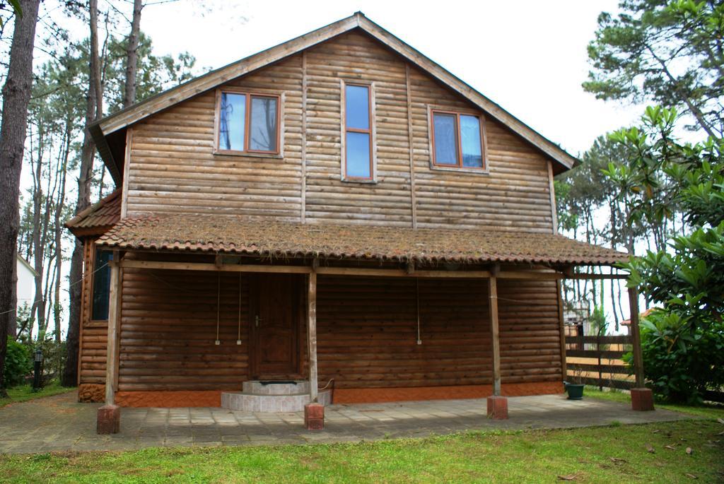 Green Cottage Shekvetili Ureki Ngoại thất bức ảnh