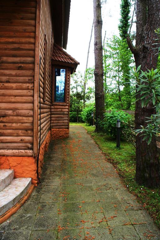 Green Cottage Shekvetili Ureki Ngoại thất bức ảnh