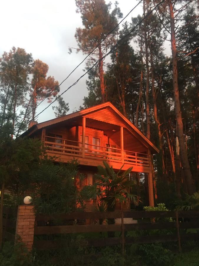 Green Cottage Shekvetili Ureki Ngoại thất bức ảnh
