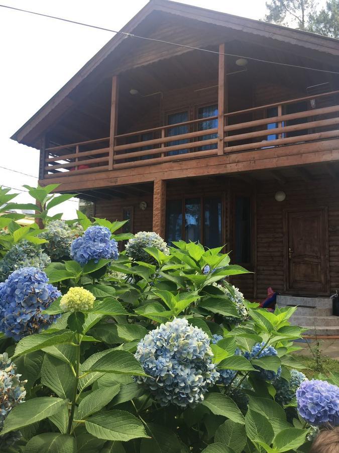 Green Cottage Shekvetili Ureki Ngoại thất bức ảnh